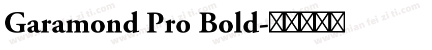 Garamond Pro Bold字体转换